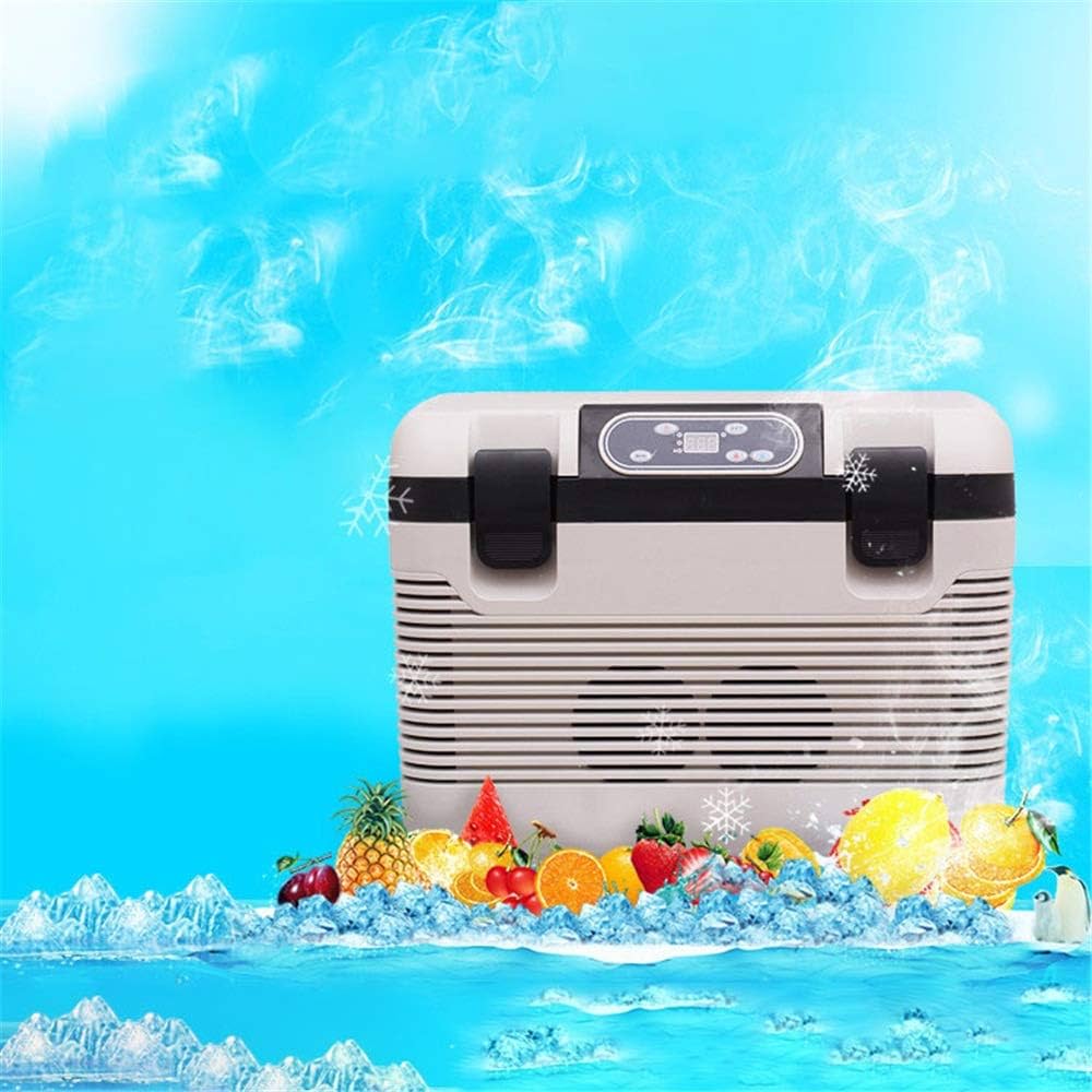 Automotive Portable Fridge/Cool Box Storage Box Design Cool + Warm 19L 12V/220V Grey Fy-2184 (China)