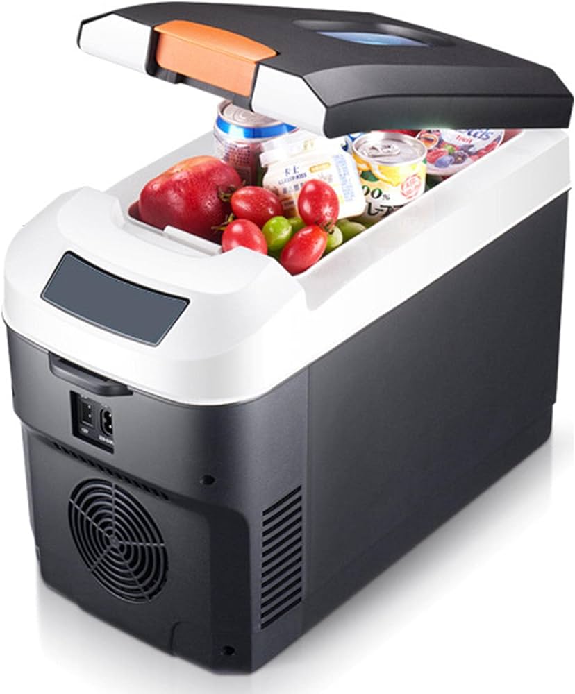 Automotive Portable Fridge/Cool Box Storage Box Design Cool + Warm 10L 12V/220V White/Black Fy-2183 (China)