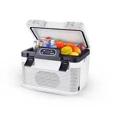 Automotive Portable Fridge/Cool Box Storage Box Design Cool + Warm 19L 12V/220V Grey Fy-2184 (China)