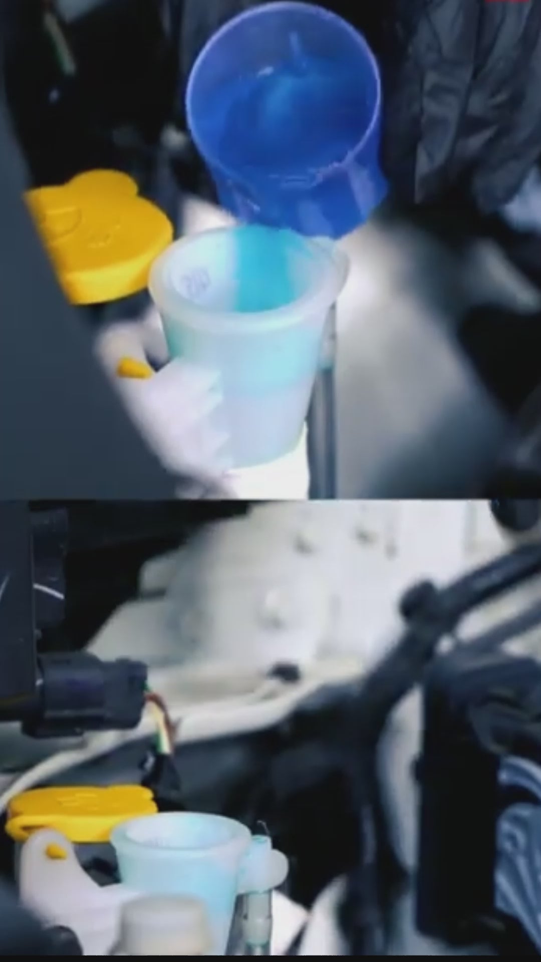 Car Windshield Washer 500Ml - Kangaroo Cosmic