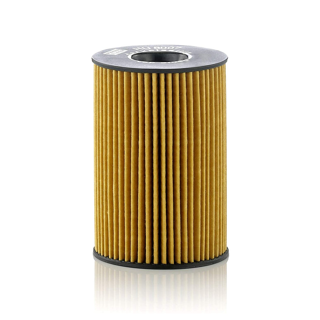 Automotive Oil Filter Mann Genuine Element Type Colour Box Pack Hu8007Z (Austria)
