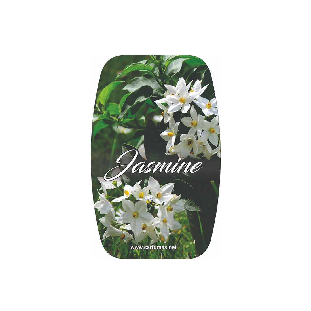 Paper Card Perfume Carfumes  Jasmine  Coloured Card Pack